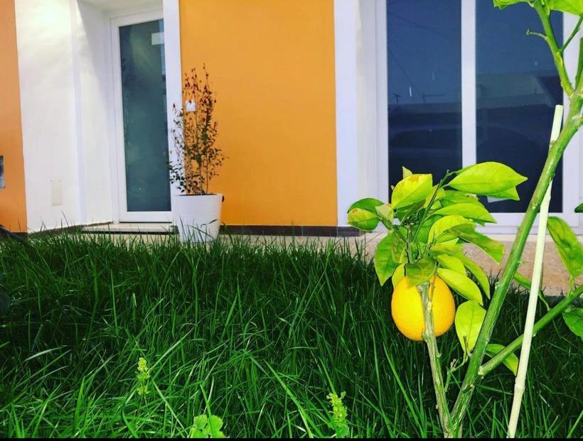 Orange Guest House Сагреш Экстерьер фото